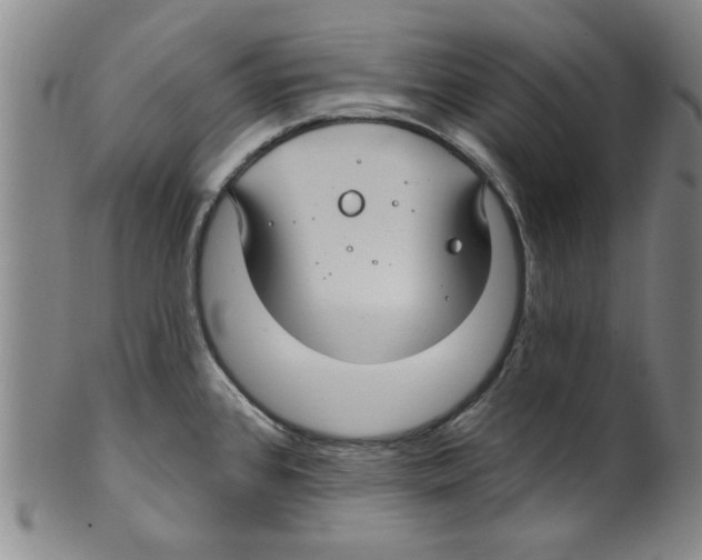 X0000099481384200806061234