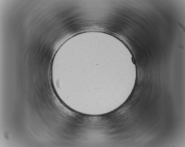 X0000099481387200806061234