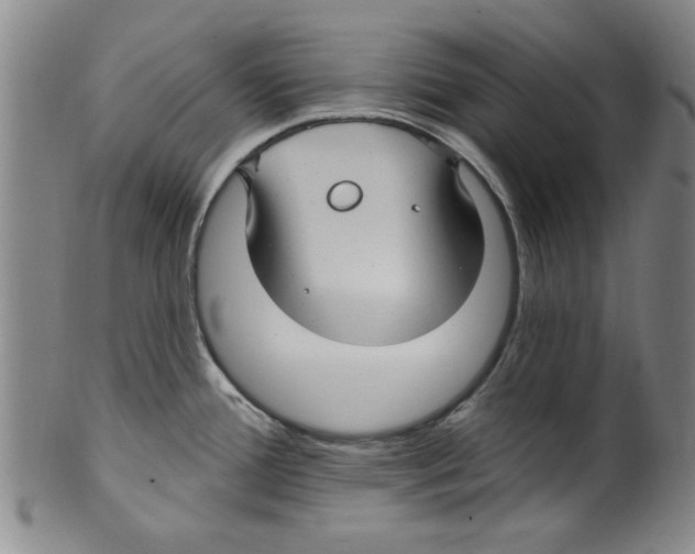 X0000099481388200806061234