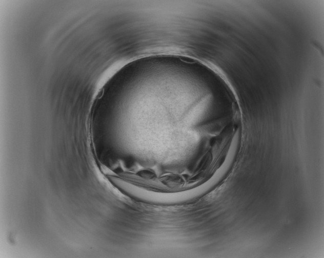 X0000099481389200806061234