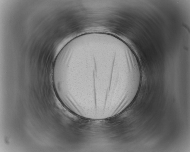 X0000099481390200806061234