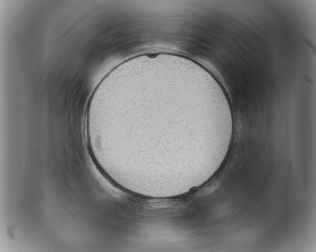 X0000099481391200806061234