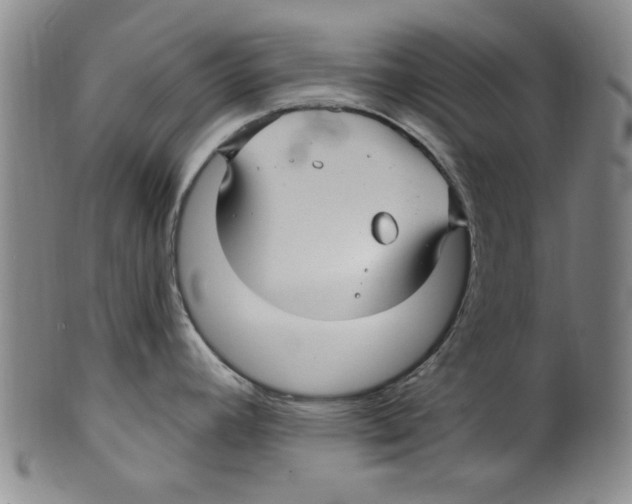 X0000099481392200806061234