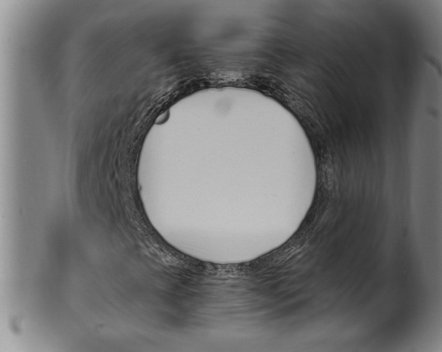 X0000099481393200806061233