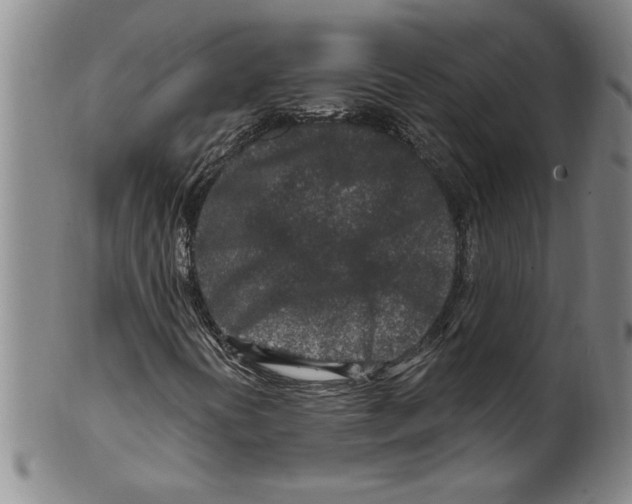 X0000099481394200806061233