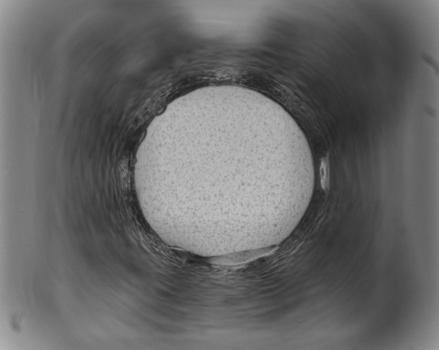 X0000099481395200806061233