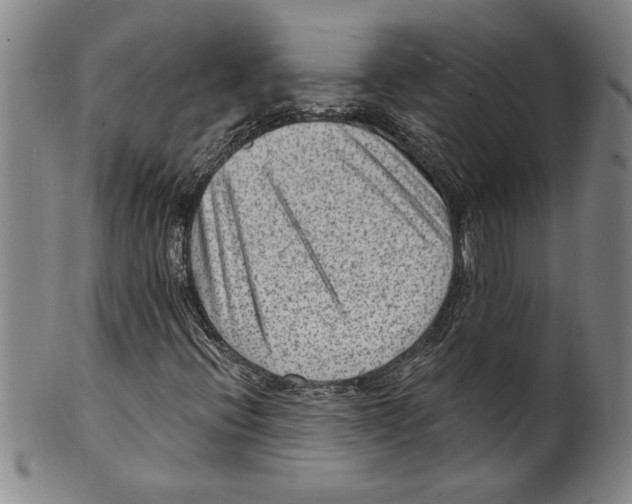 X0000099481396200806061233