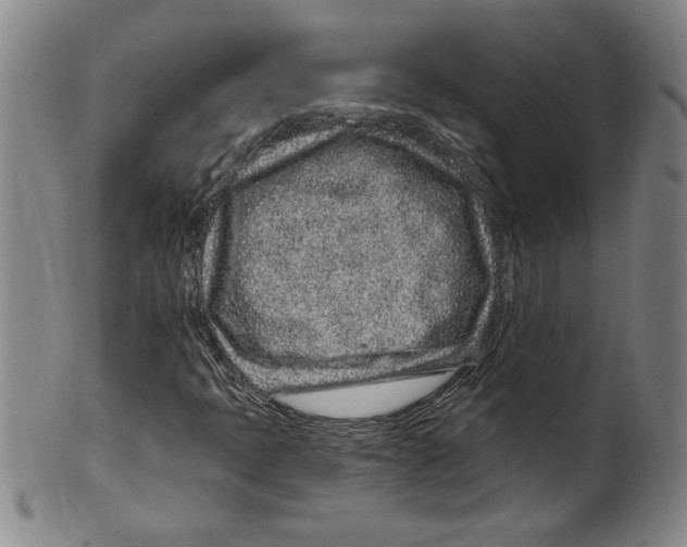 X0000099481397200806061233