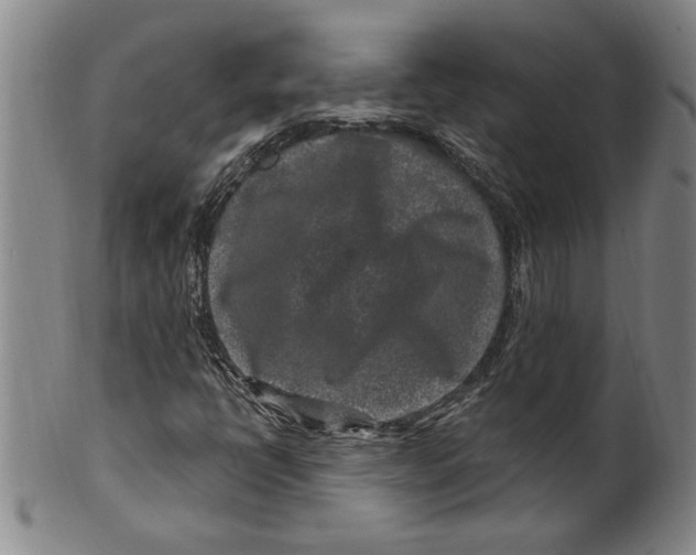 X0000099481398200806061233