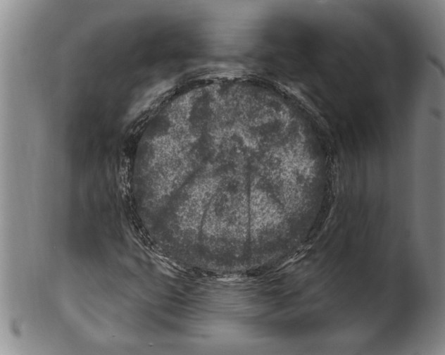 X0000099481399200806061233