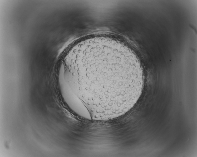 X0000099481400200806061233