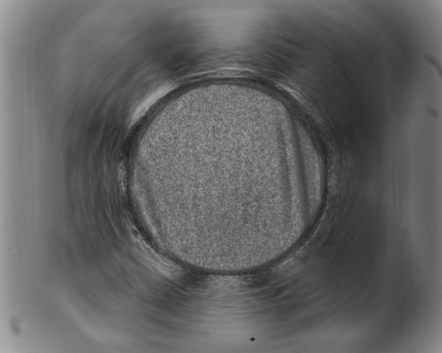 X0000099481402200806061233