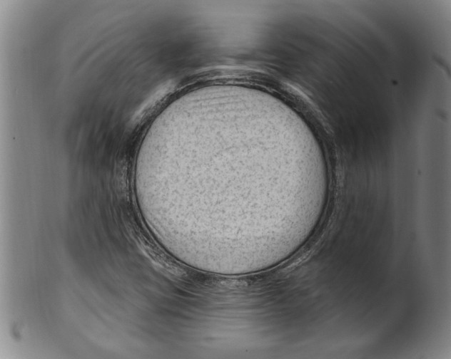 X0000099481403200806061233