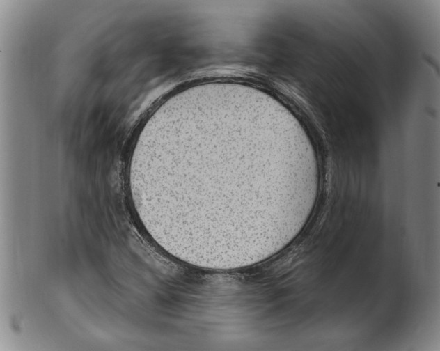 X0000099481404200806061233
