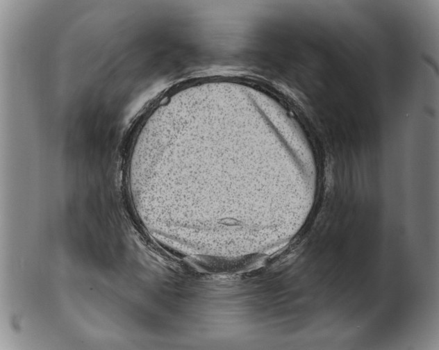 X0000099481406200806061233