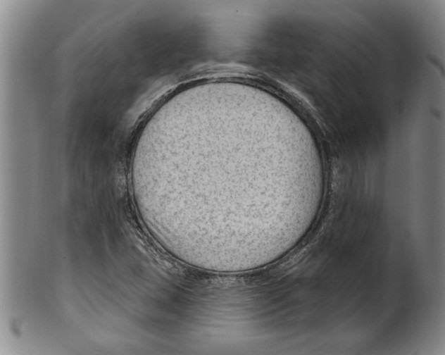X0000099481407200806061234