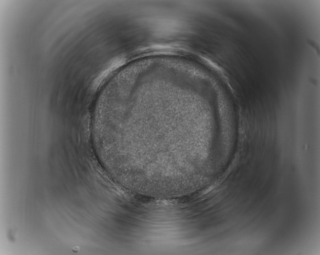 X0000099481411200806061234