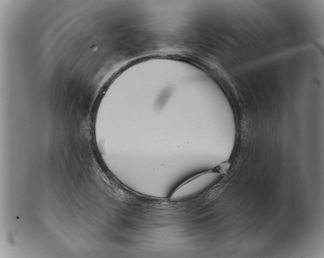 X0000099481412200806061234
