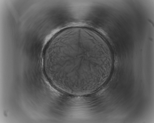 X0000099481414200806061234