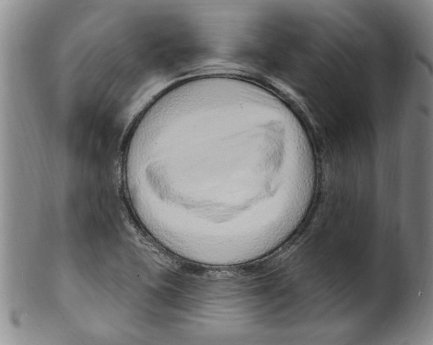 X0000099481415200806061234