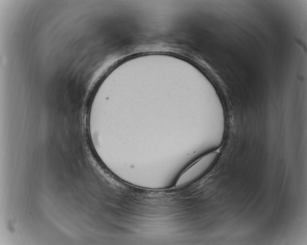 X0000099481416200806061234