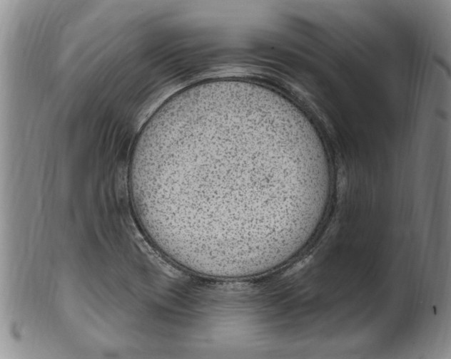 X0000099481417200806061234