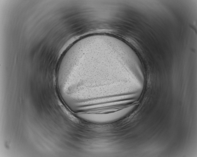 X0000099481420200806061234