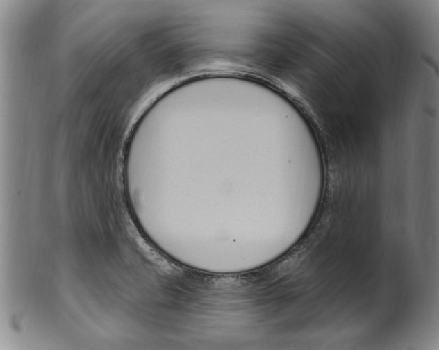 X0000099481421200806061234