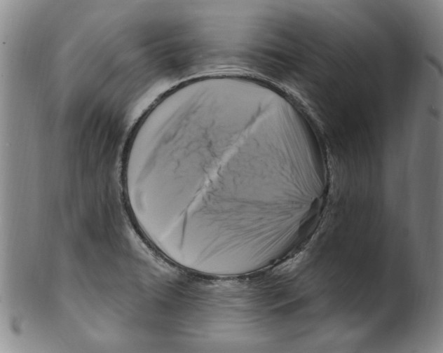 X0000099481422200806061234
