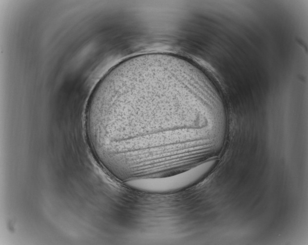 X0000099481423200806061234