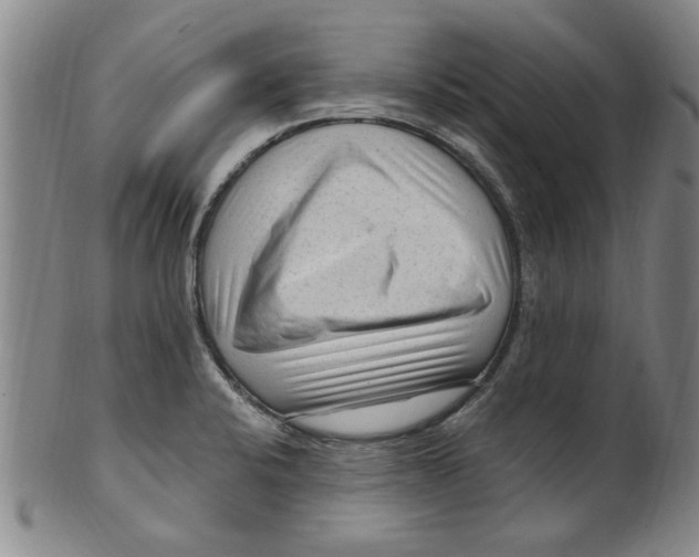 X0000099481424200806061234