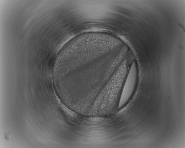 X0000099481425200806061234