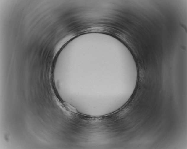 X0000099481426200806061234