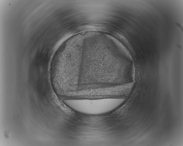X0000099481427200806061234