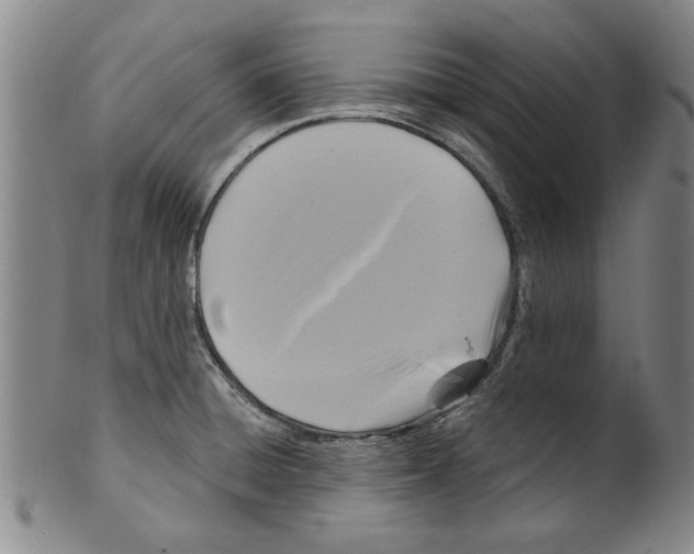 X0000099481428200806061234