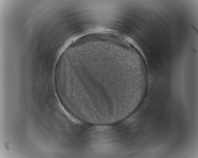X0000099481429200806061234