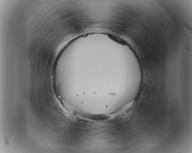 X0000099481430200806061234