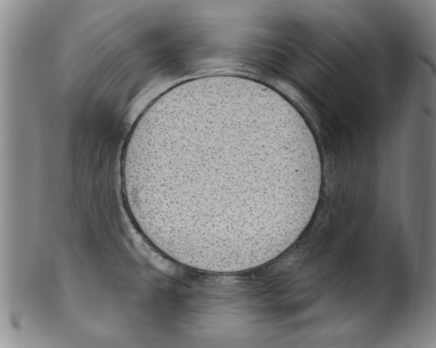 X0000099481431200806061234
