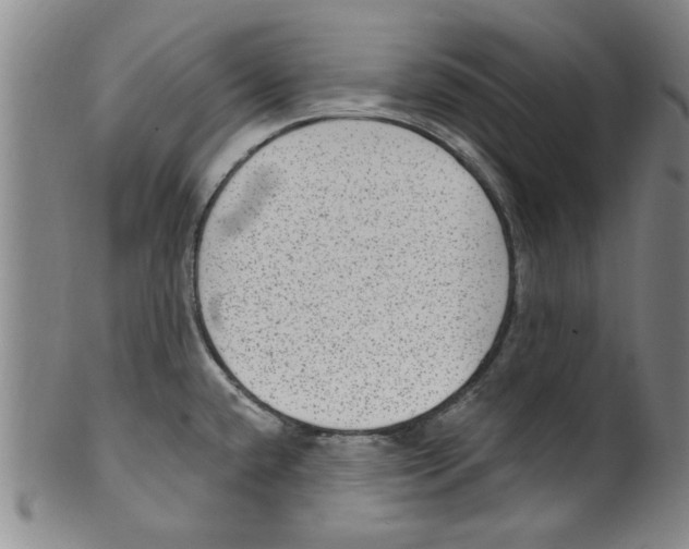 X0000099481432200806061234