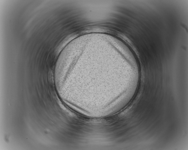 X0000099481433200806061234