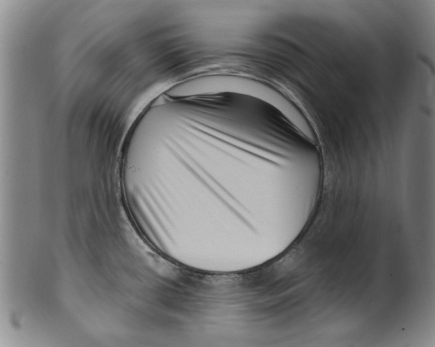 X0000099481434200806061234