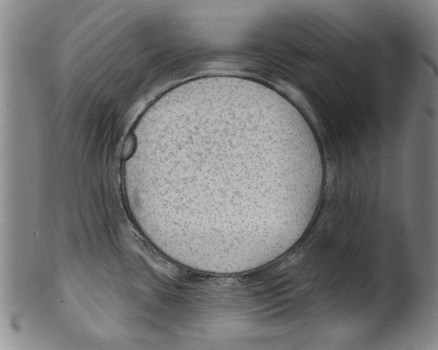 X0000099481435200806061234