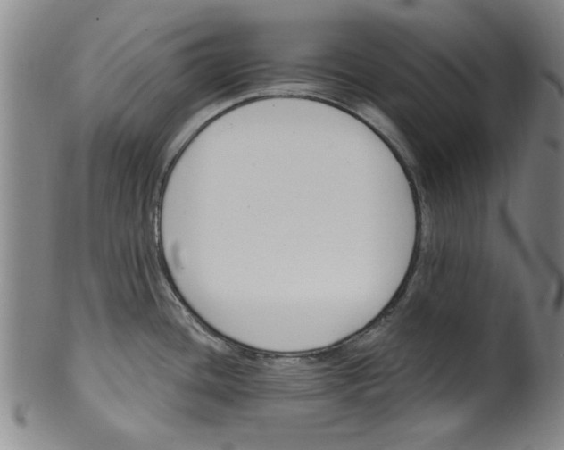 X0000099481436200806061234
