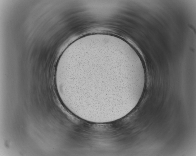 X0000099481437200806061234