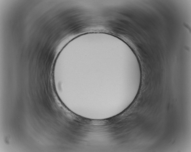 X0000099481440200806061234
