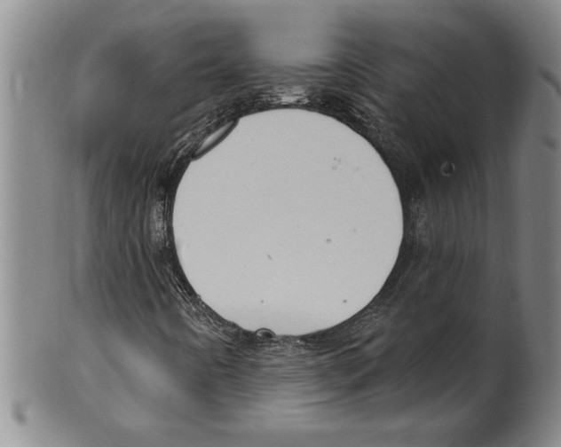 X0000099481442200806061233