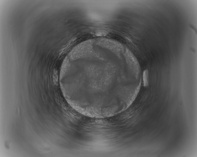 X0000099481443200806061233