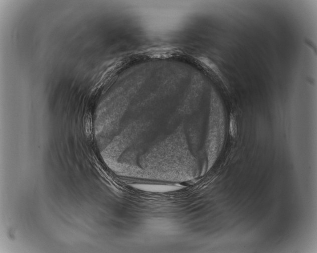 X0000099481444200806061233