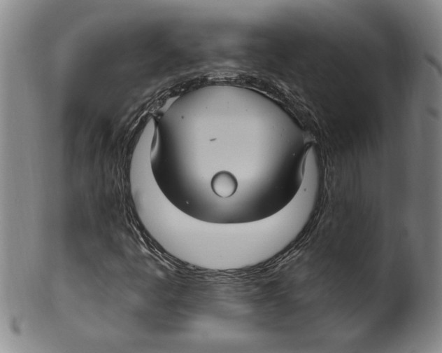 X0000099481445200806061233