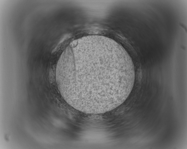 X0000099481446200806061233
